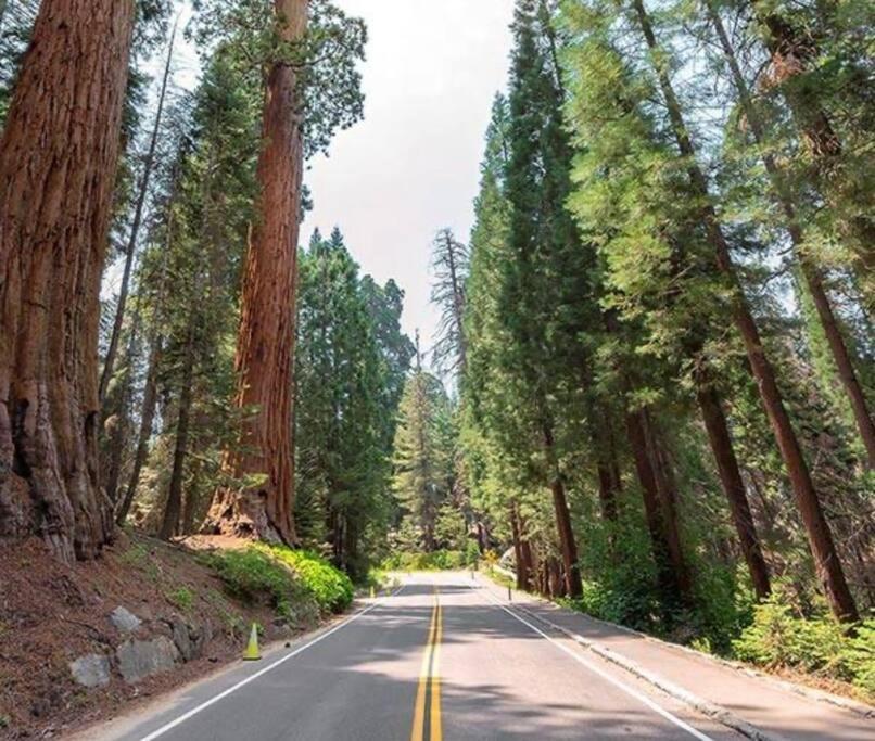 Sequoia Villa Visalia Zewnętrze zdjęcie